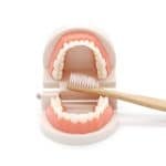 Jeu brossage de dents – “Dentier Montessori” - jeux éducatif montessori