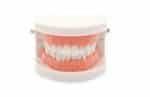 Jeu brossage de dents – “Dentier Montessori” - jeux éducatif montessori