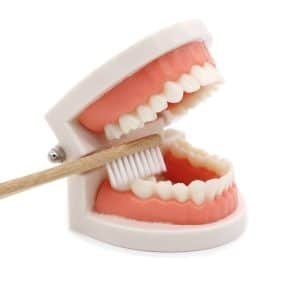 Jeu brossage de dents – “Dentier Montessori” - jeux éducatif montessori
