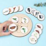 Jeu d’Évolution de la Nature - jeux éducatif montessori