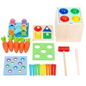 Jouet a Marteler 5 en 1 - jeux éducatif montessori