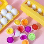 puzzle 3D oeuf montessori